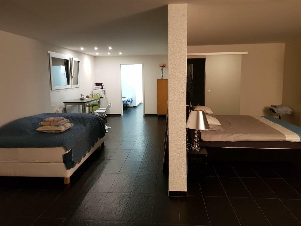 Nice Apartment In Horgen Near Lake And Pool Екстер'єр фото